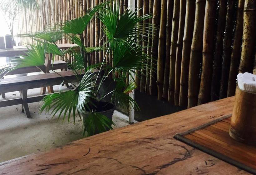 Hotel Stay Bocas | Bocas del Toro | Bocas del Toro | Panamá 14