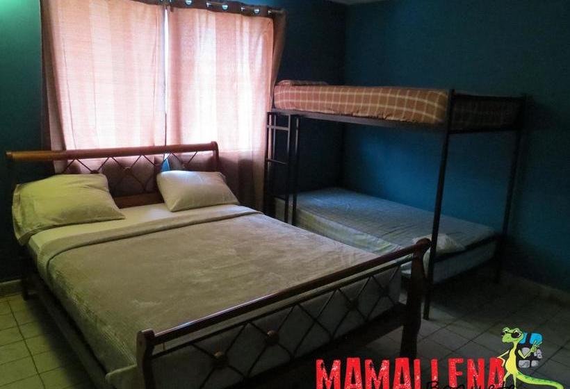 Hostel Mamallena Boquete | Boquete | Chiriquí | Panamá 3