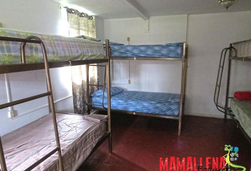 Hostel Mamallena Boquete | Boquete | Chiriquí | Panamá 6