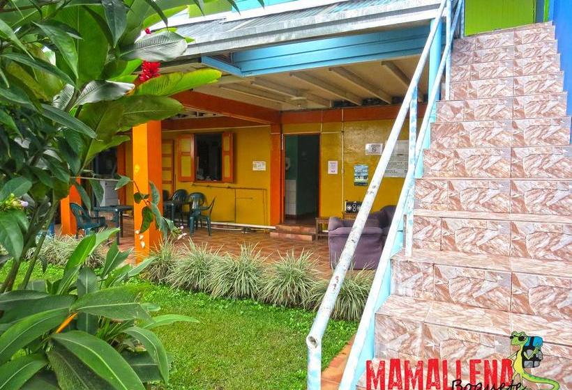 Hostel Mamallena Boquete | Boquete | Chiriquí | Panamá 8