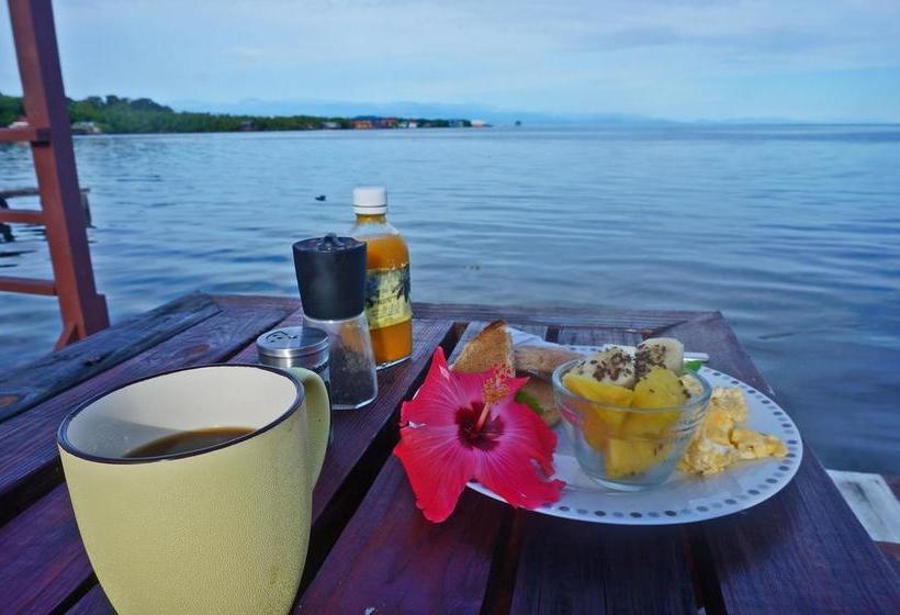 Saigon Bay Bed & Breakfast | Bocas del Toro | Bocas del Toro | Panamá 10