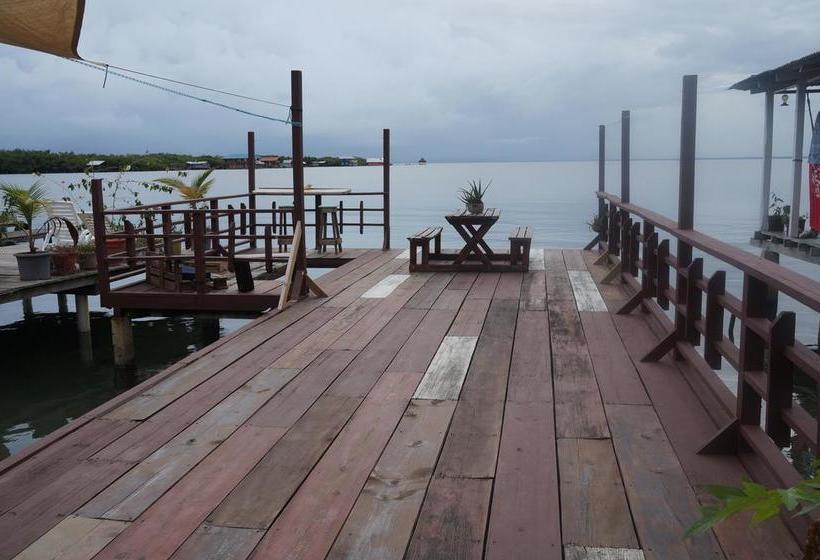 Saigon Bay Bed & Breakfast | Bocas del Toro | Bocas del Toro | Panamá 13