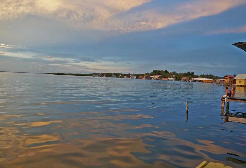Saigon Bay Bed & Breakfast | Bocas del Toro | Bocas del Toro | Panamá 3