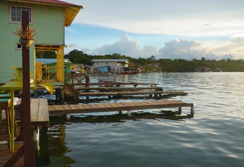 Saigon Bay Bed & Breakfast | Bocas del Toro | Bocas del Toro | Panamá 5