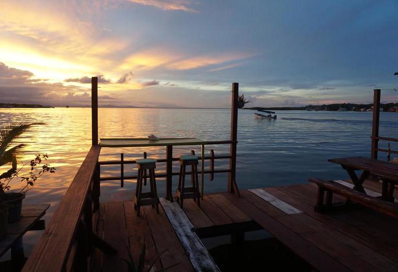 Saigon Bay Bed & Breakfast | Bocas del Toro | Bocas del Toro | Panamá 6