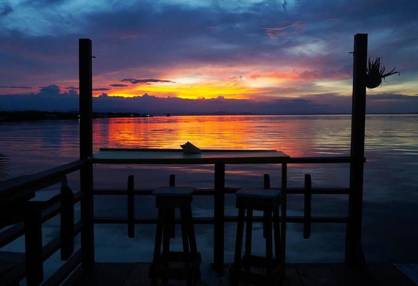 Saigon Bay Bed & Breakfast | Bocas del Toro | Bocas del Toro | Panamá 8