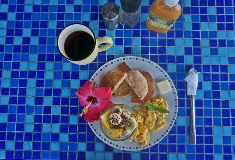 Saigon Bay Bed & Breakfast | Bocas del Toro | Bocas del Toro | Panamá 9