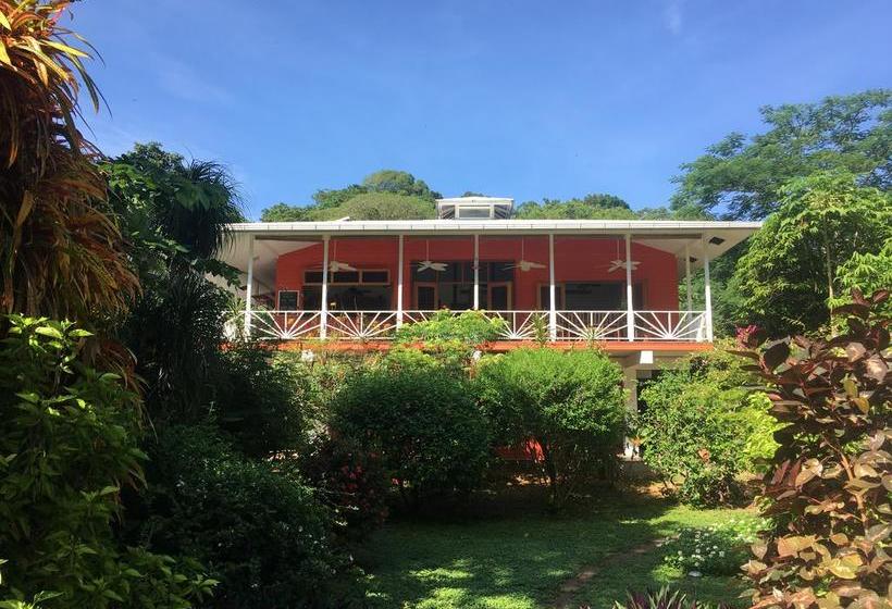 Bed and Breakfast Turtle Beach House