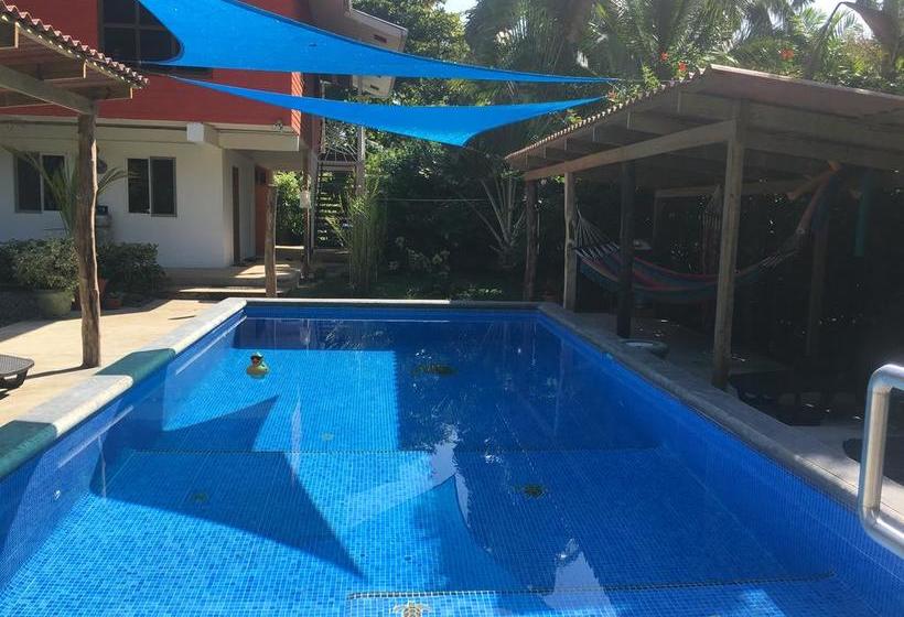 Bed and Breakfast Turtle Beach House | Bocas del Toro | Bocas del Toro | Panamá 1