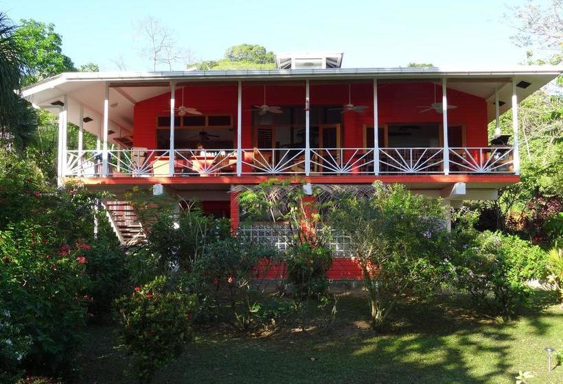 Bed and Breakfast Turtle Beach House | Bocas del Toro | Bocas del Toro | Panamá 10