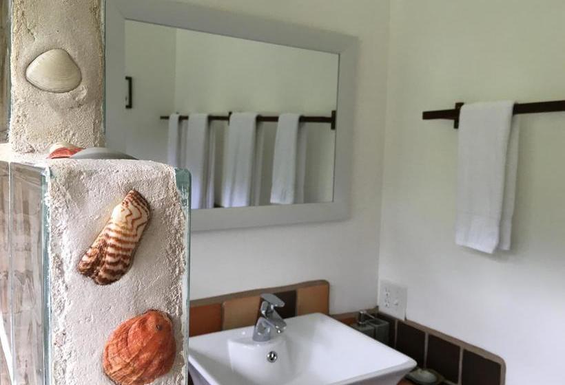 Bed and Breakfast Turtle Beach House | Bocas del Toro | Bocas del Toro | Panamá 11