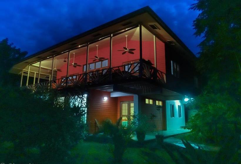 Bed and Breakfast Turtle Beach House | Bocas del Toro | Bocas del Toro | Panamá 13