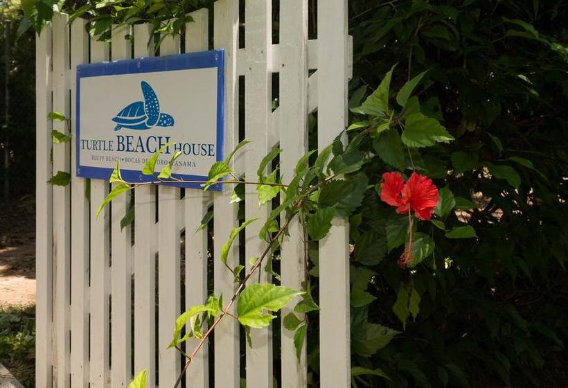 Bed and Breakfast Turtle Beach House | Bocas del Toro | Bocas del Toro | Panamá 14