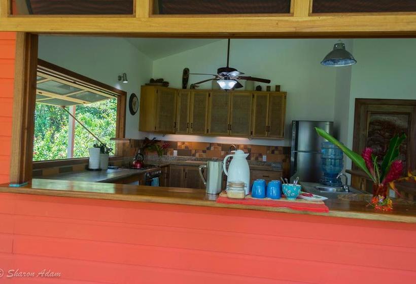 Bed and Breakfast Turtle Beach House | Bocas del Toro | Bocas del Toro | Panamá 16