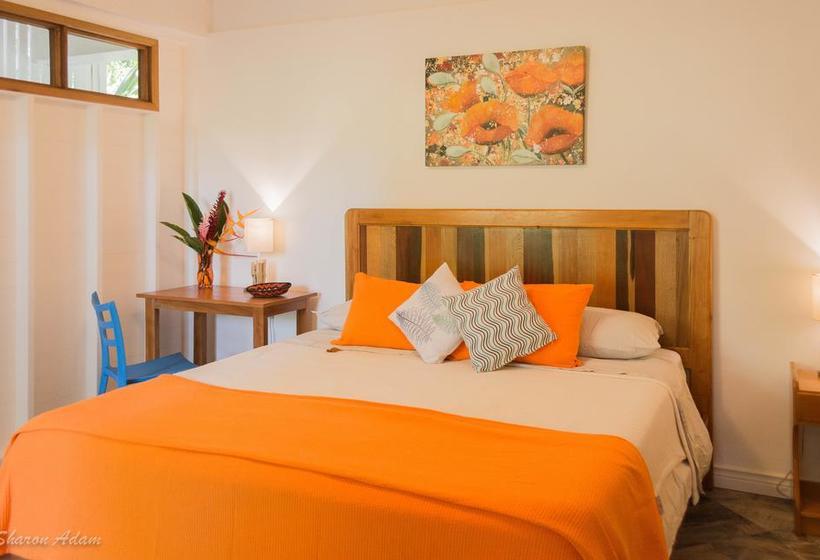 Bed and Breakfast Turtle Beach House | Bocas del Toro | Bocas del Toro | Panamá 17