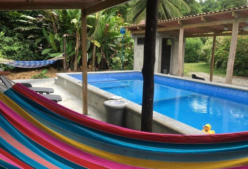 Bed and Breakfast Turtle Beach House | Bocas del Toro | Bocas del Toro | Panamá 2