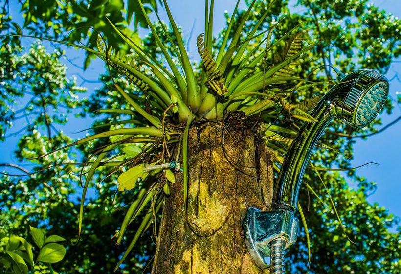 Bed and Breakfast Turtle Beach House | Bocas del Toro | Bocas del Toro | Panamá 20