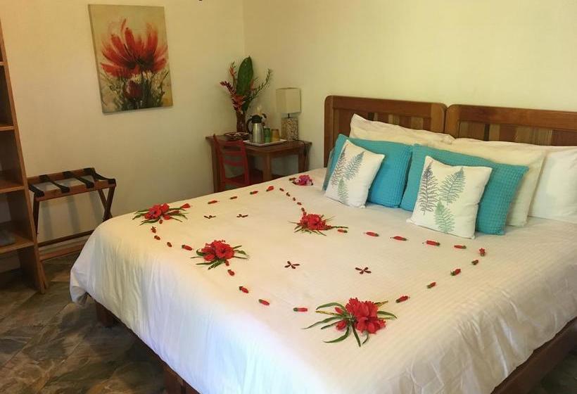 Bed and Breakfast Turtle Beach House | Bocas del Toro | Bocas del Toro | Panamá 3