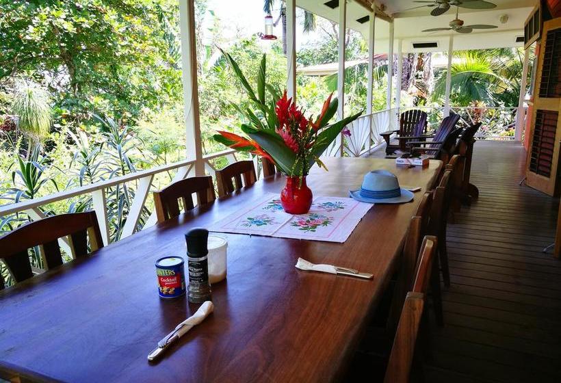 Bed and Breakfast Turtle Beach House | Bocas del Toro | Bocas del Toro | Panamá 4