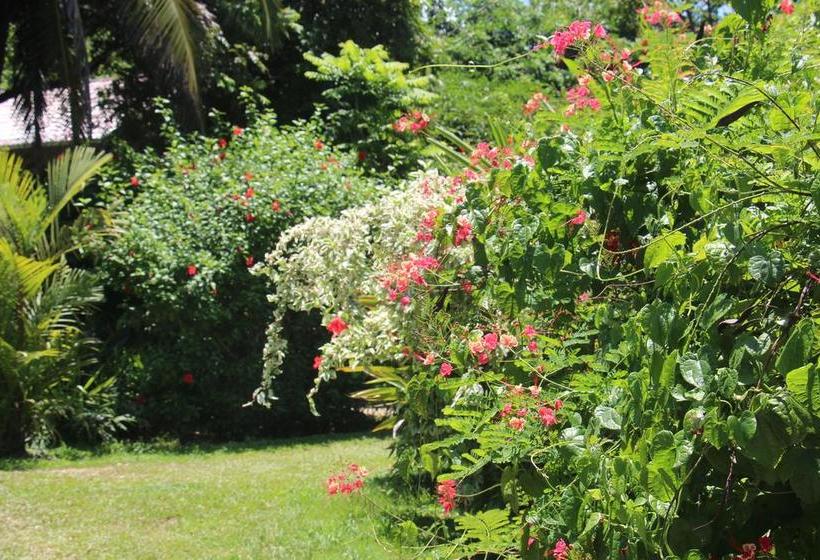 Bed and Breakfast Turtle Beach House | Bocas del Toro | Bocas del Toro | Panamá 5