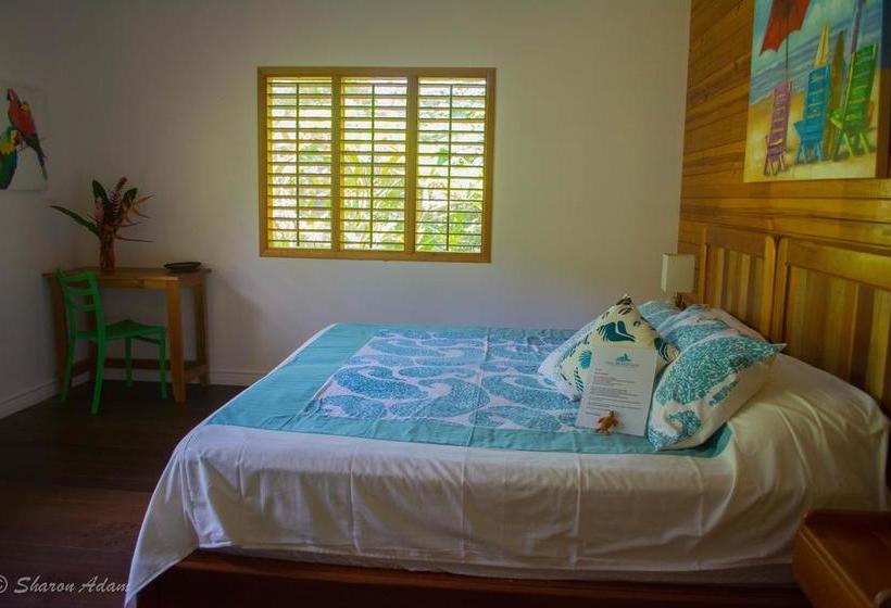 Bed and Breakfast Turtle Beach House | Bocas del Toro | Bocas del Toro | Panamá 6