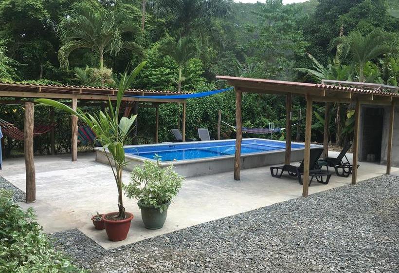 Bed and Breakfast Turtle Beach House | Bocas del Toro | Bocas del Toro | Panamá 7