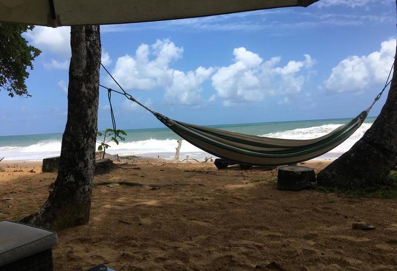 Bed and Breakfast Turtle Beach House | Bocas del Toro | Bocas del Toro | Panamá 8