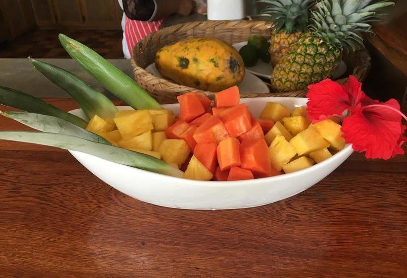 Bed and Breakfast Turtle Beach House | Bocas del Toro | Bocas del Toro | Panamá 9