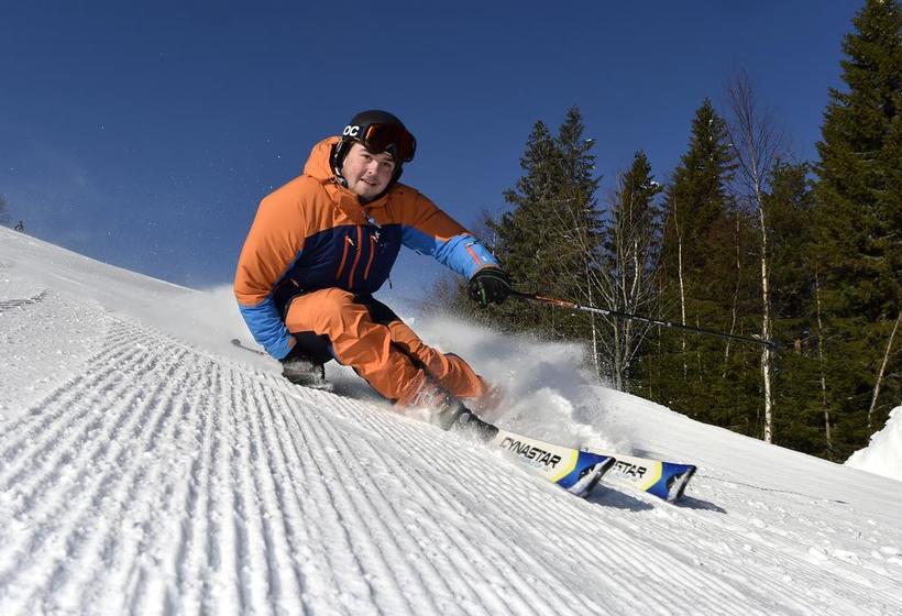 Hotel Hassela Ski Resort | Hassela | Gavleborgs Lan | Sweden 12