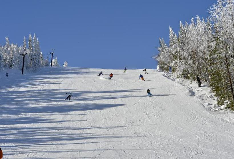 Hotel Hassela Ski Resort | Hassela | Gavleborgs Lan | Sweden 17