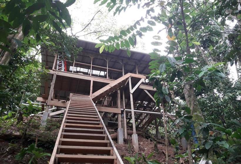 Bed and Breakfast Carmen S Place | Old Bank | Bocas del Toro | Panamá 1