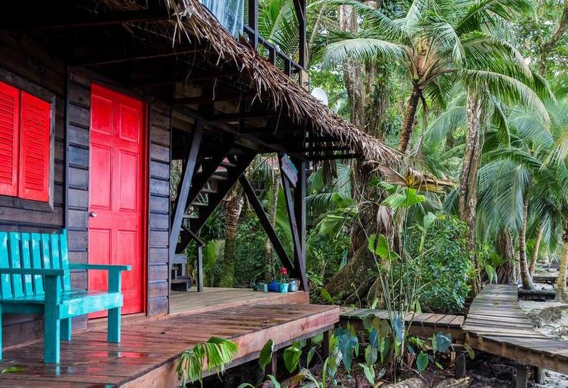 Bed and Breakfast Carmen S Place | Old Bank | Bocas del Toro | Panamá 12