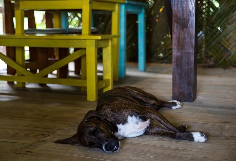 Bed and Breakfast Carmen S Place | Old Bank | Bocas del Toro | Panamá 19