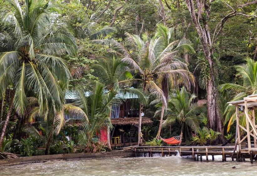 Bed and Breakfast Carmen S Place | Old Bank | Bocas del Toro | Panamá 4