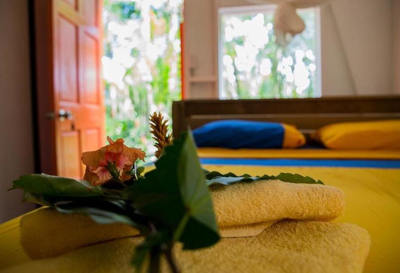 Bed and Breakfast Carmen S Place | Old Bank | Bocas del Toro | Panamá 8