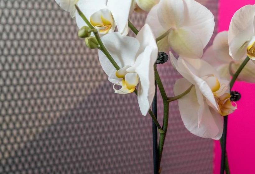 Magic Hotel Xhibition | Bergen | Hordaland | Norway 7