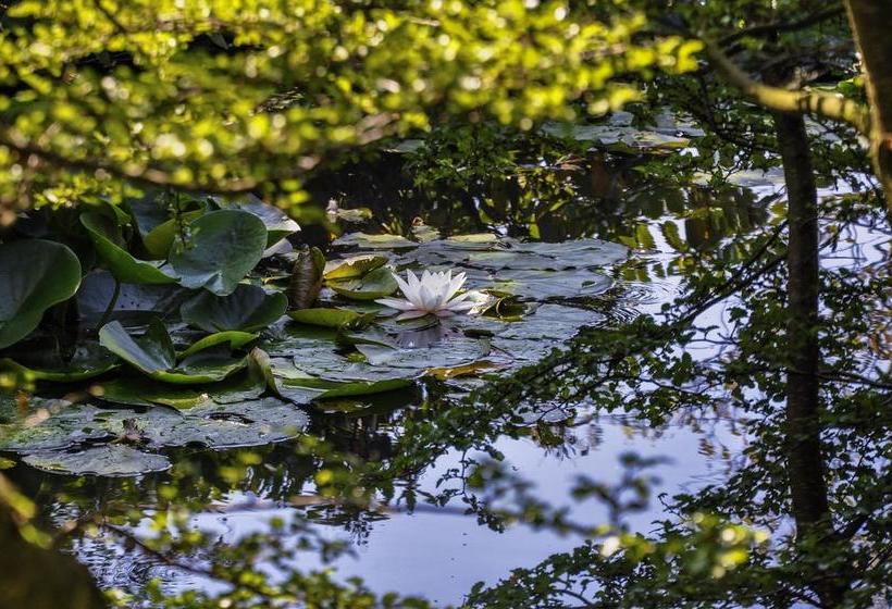 Håkesgård Garden B&b Hallands Lan