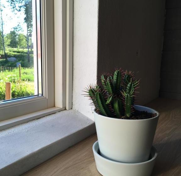 Topperyd Bed & Breakfast | Nassjo | Jonkopings Lan | Sweden 16