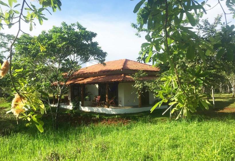 Hotel Villa Coco | Santa Catalina | Veraguas | Panamá 1