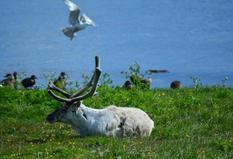Arctic Hotel Nordkapp | Honningsvag | Finnmark | Norway 14