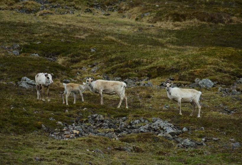 Arctic Hotel Nordkapp | Honningsvag | Finnmark | Norway 15