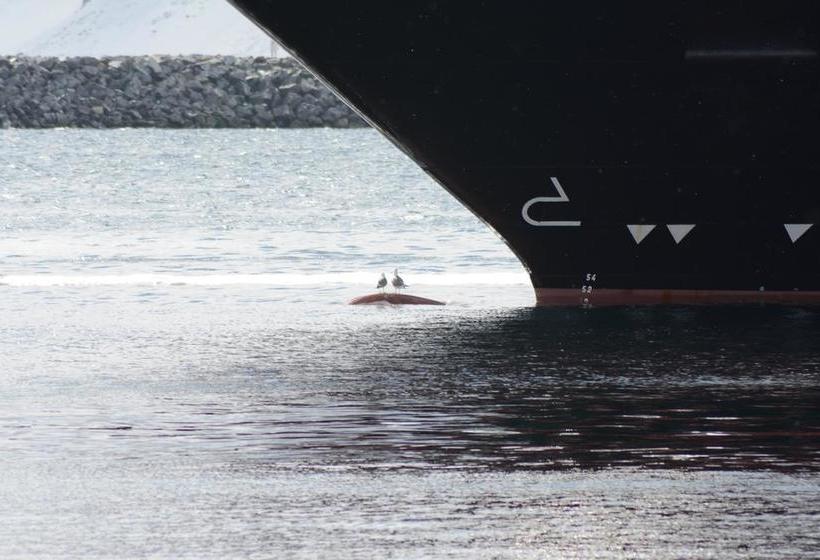 Arctic Hotel Nordkapp | Honningsvag | Finnmark | Norway 18