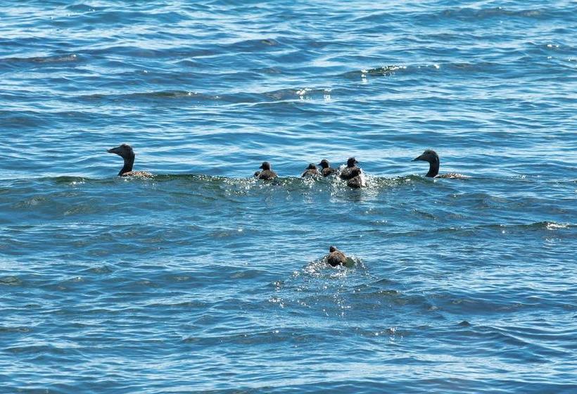 Bed and Breakfast Wallentinska Huset | Smogen | Vastra Gotalands Lan | Sweden 6