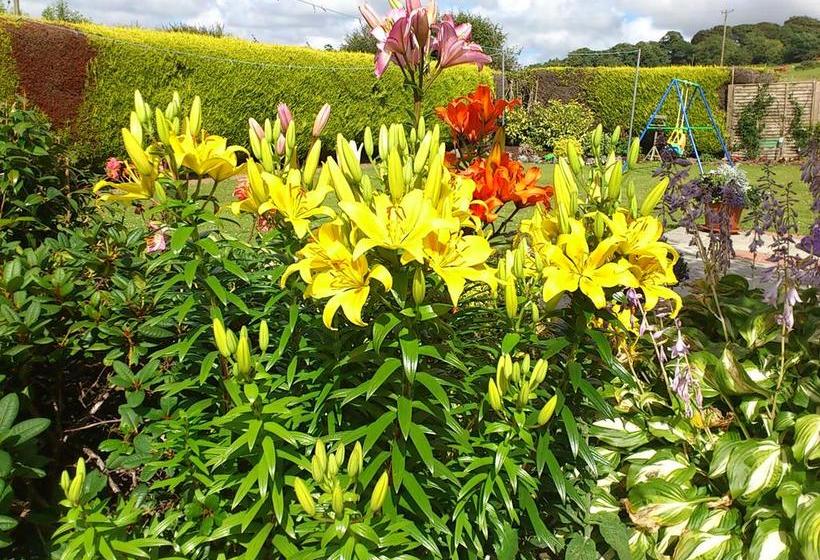 Rosville House B&b | New Ross | Wexford | Ireland 12