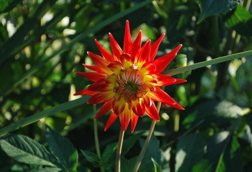 Rosville House B&b | New Ross | Wexford | Ireland 13