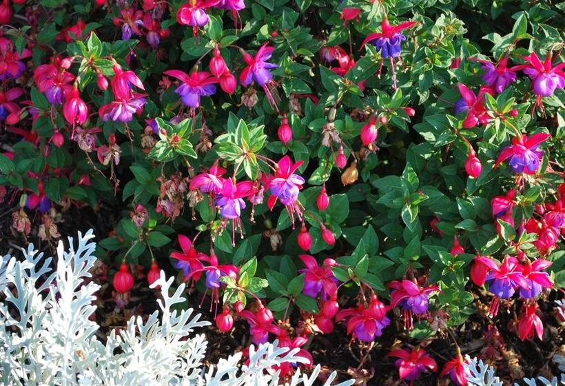 Rosville House B&b | New Ross | Wexford | Ireland 15