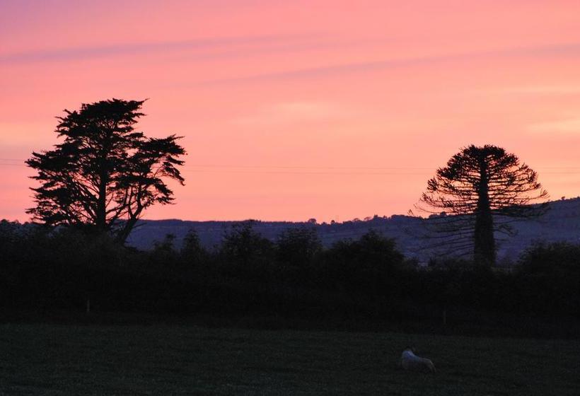 Rosville House B&b | New Ross | Wexford | Ireland 20