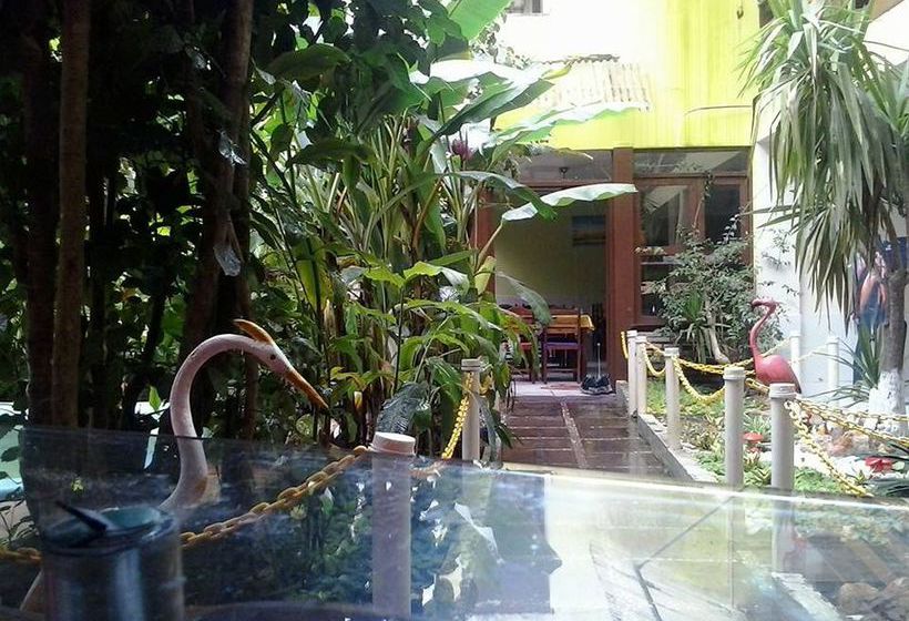 Hostal Pousada Coqueiro do Caitá  | Morro de são Paulo | Bahia | Brasil 8