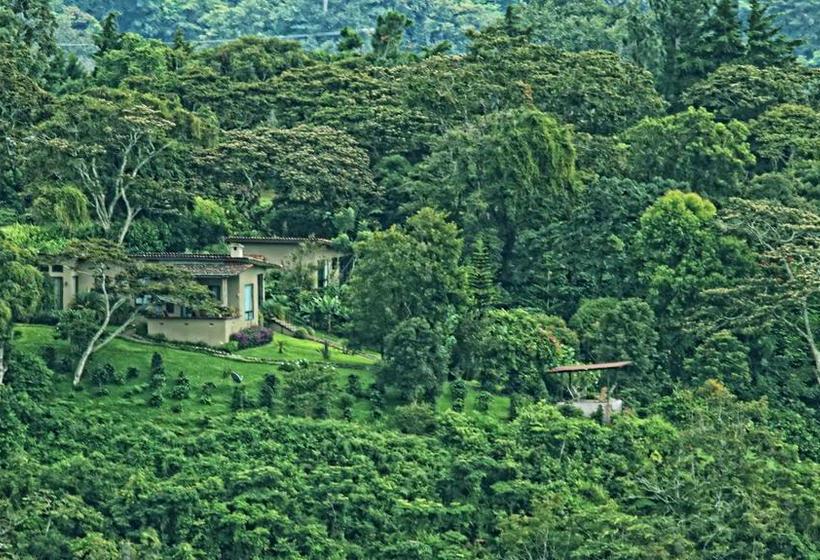 Bed and Breakfast The Guest Suites At Manana Madera