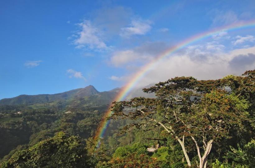 Bed and Breakfast The Guest Suites At Manana Madera | Boquete | Chiriqui | Hôtels au Panamá 15